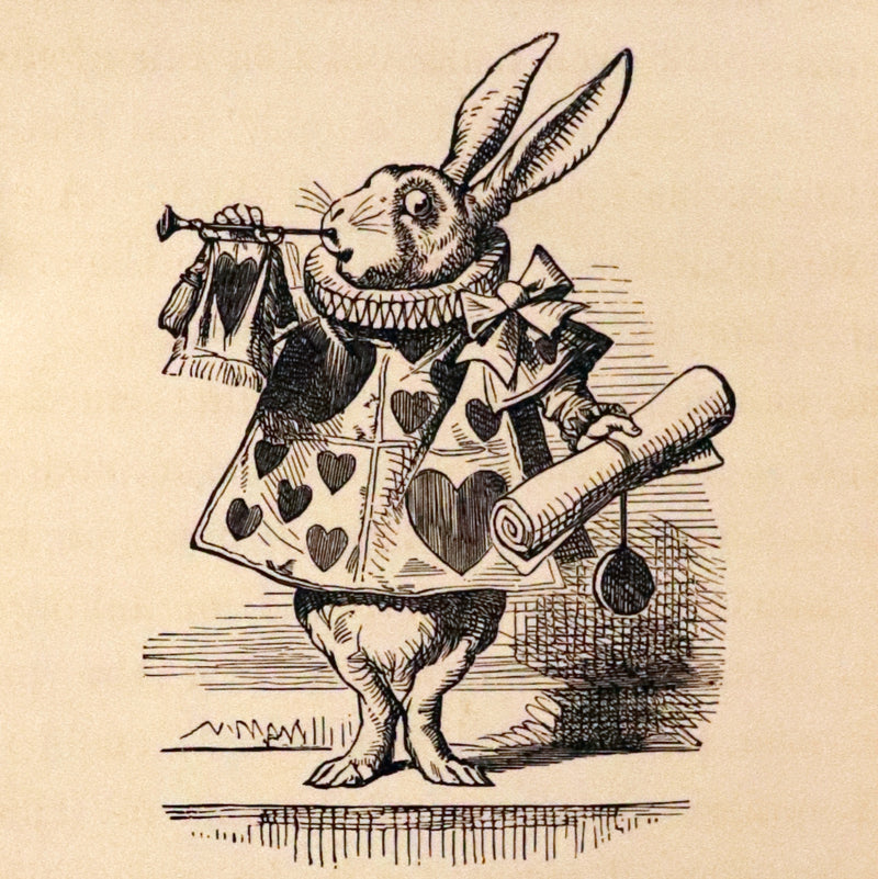 1895 Rare Victorian Book - Alice's Adventures in Wonderland by Lewis Carroll.