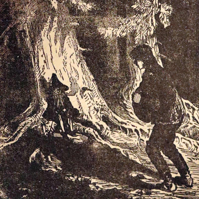 1881 Scarce Victorian Book - HAUFF'S Fairy Tales, Tales of the Caravan, Inn, and Palace. Illustrated.