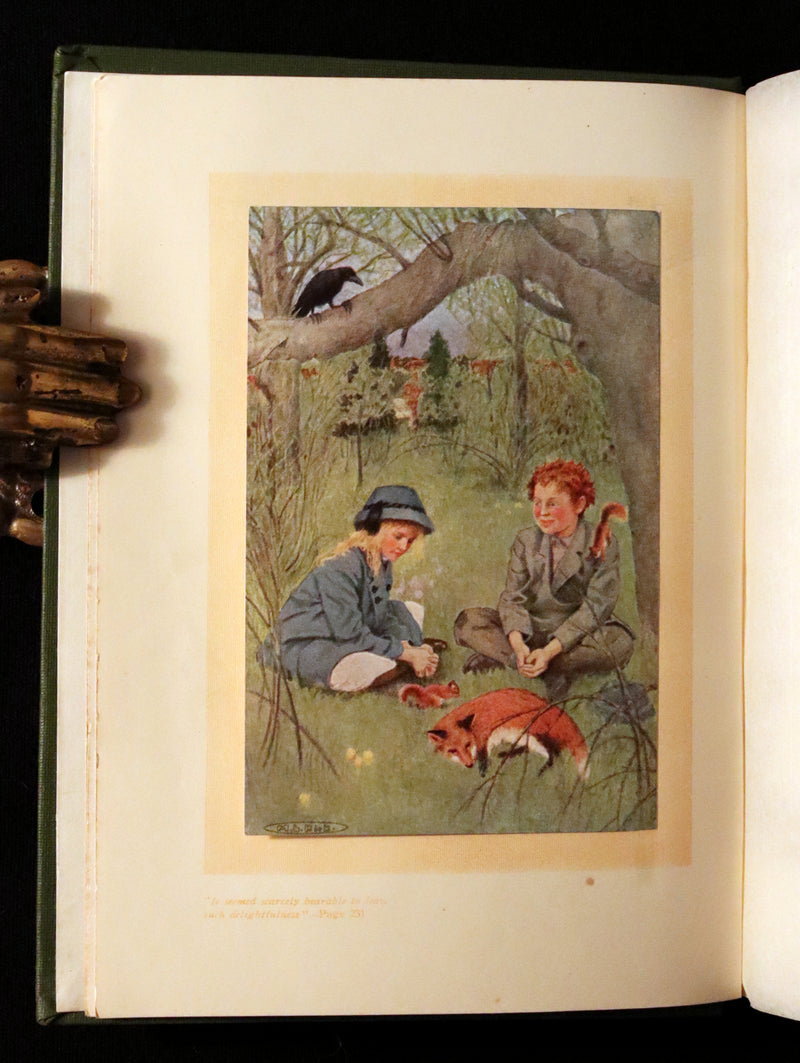 1911 Rare First Edition Book - The SECRET GARDEN by Frances Hodgson Burnett.