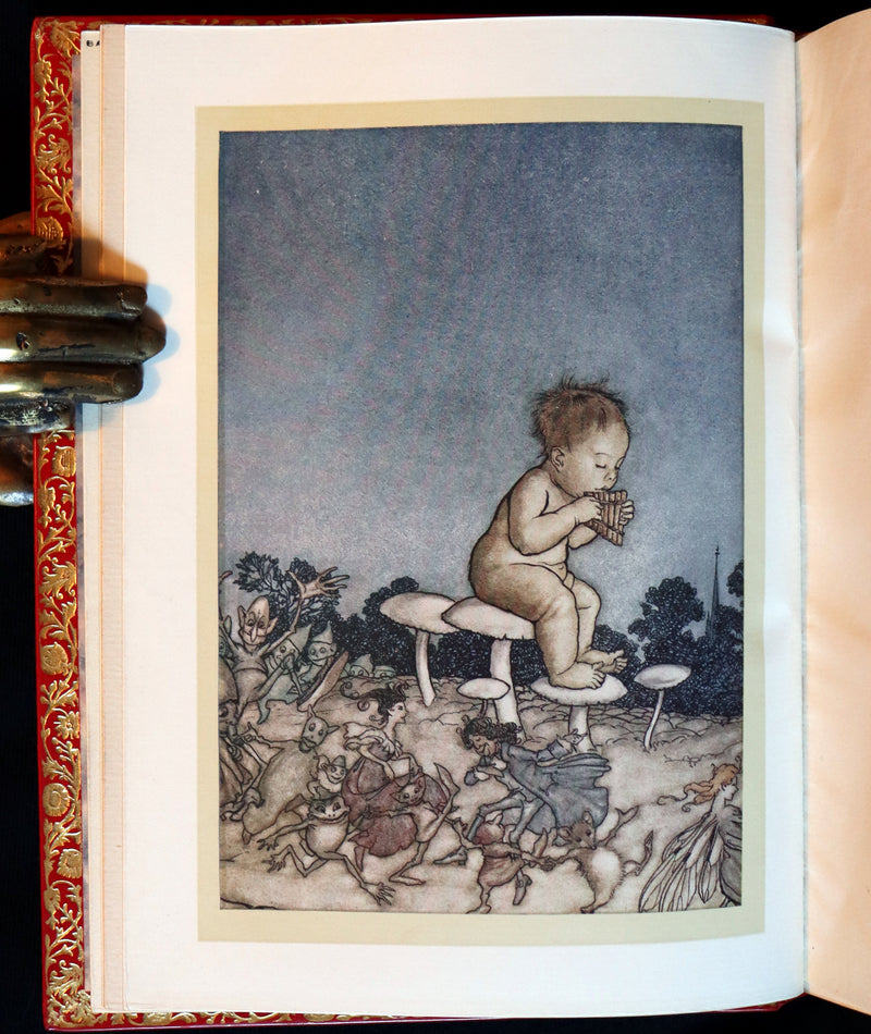 1910 Beautiful BAYNTUN Binding - PETER PAN in Kensington Garden illustrated by Arthur Rackham.