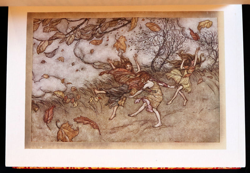 1910 Beautiful BAYNTUN Binding - PETER PAN in Kensington Garden illustrated by Arthur Rackham.