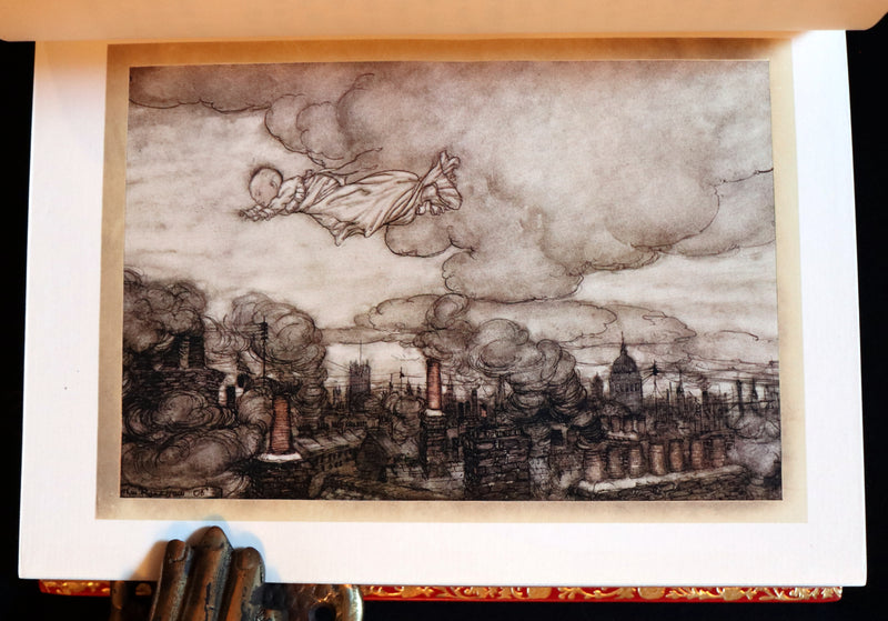 1910 Beautiful BAYNTUN Binding - PETER PAN in Kensington Garden illustrated by Arthur Rackham.