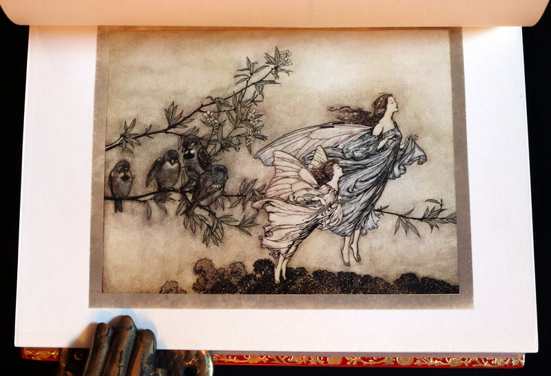 1910 Beautiful BAYNTUN Binding - PETER PAN in Kensington Garden illustrated by Arthur Rackham.