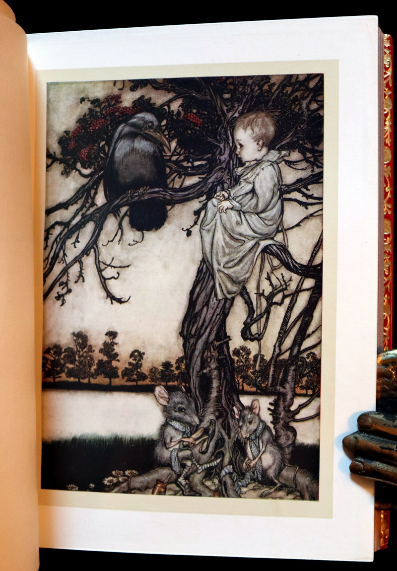 1910 Beautiful BAYNTUN Binding - PETER PAN in Kensington Garden illustrated by Arthur Rackham.