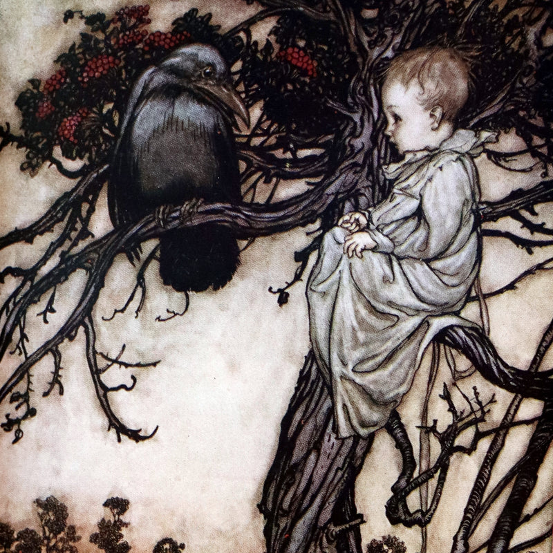 1910 Beautiful BAYNTUN Binding - PETER PAN in Kensington Garden illustrated by Arthur Rackham.