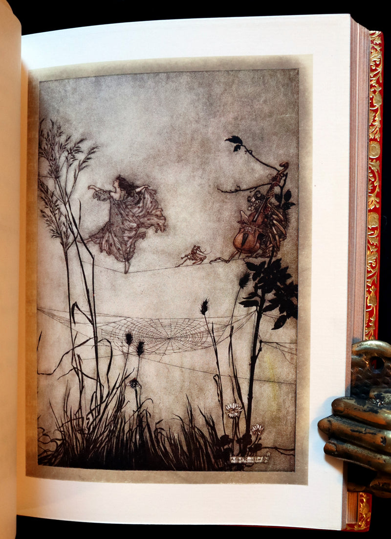 1910 Beautiful BAYNTUN Binding - PETER PAN in Kensington Garden illustrated by Arthur Rackham.