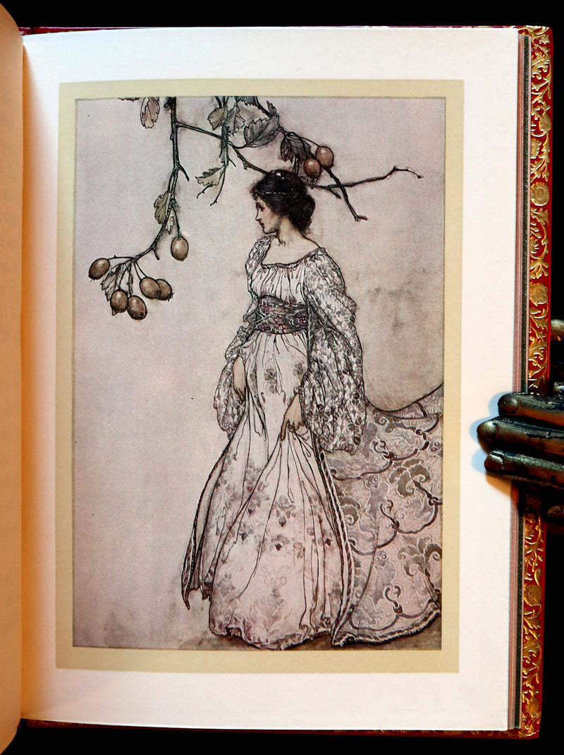 1910 Beautiful BAYNTUN Binding - PETER PAN in Kensington Garden illustrated by Arthur Rackham.
