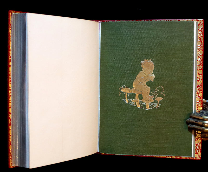 1910 Beautiful BAYNTUN Binding - PETER PAN in Kensington Garden illustrated by Arthur Rackham.