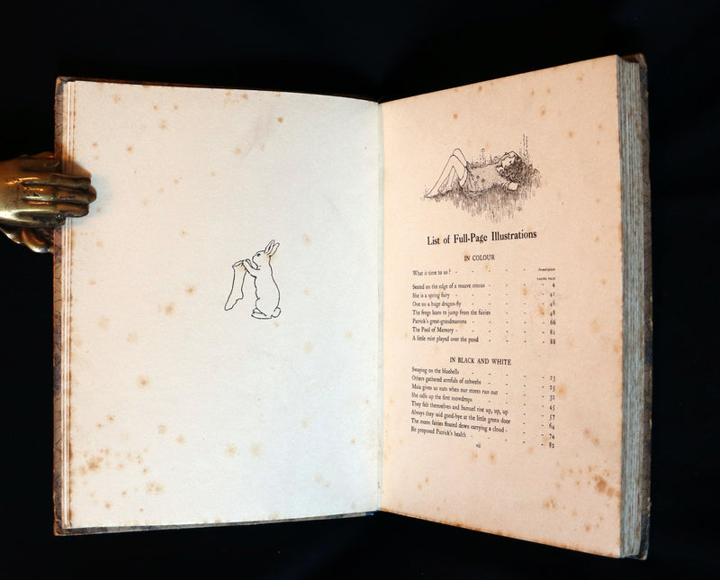 1928 Rare First Edition ~ Blossom A Fairy Story by Ida Rentoul Outhwaite - color illustrated.