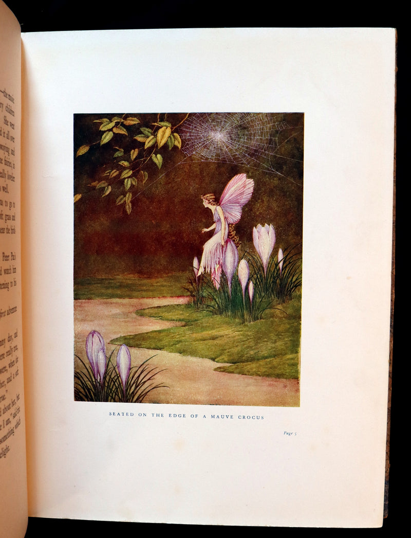 1928 Rare First Edition ~ Blossom A Fairy Story by Ida Rentoul Outhwaite - color illustrated.