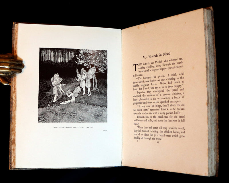 1928 Rare First Edition ~ Blossom A Fairy Story by Ida Rentoul Outhwaite - color illustrated.