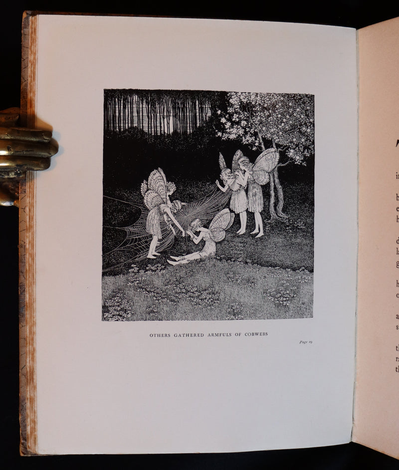 1928 Rare First Edition ~ Blossom A Fairy Story by Ida Rentoul Outhwaite - color illustrated.