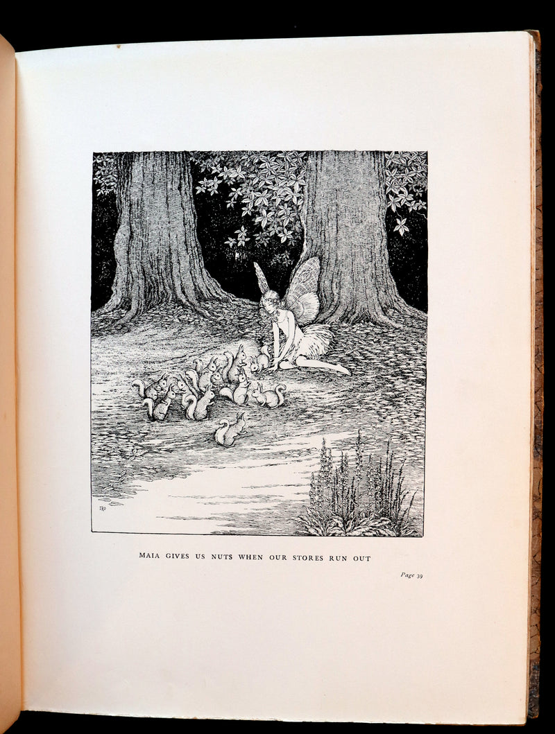 1928 Rare First Edition ~ Blossom A Fairy Story by Ida Rentoul Outhwaite - color illustrated.