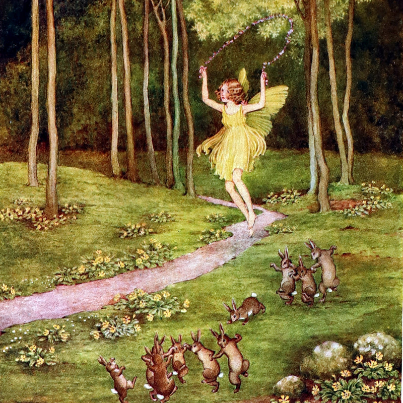 1928 Rare First Edition ~ Blossom A Fairy Story by Ida Rentoul Outhwaite - color illustrated.