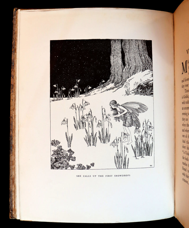1928 Rare First Edition ~ Blossom A Fairy Story by Ida Rentoul Outhwaite - color illustrated.