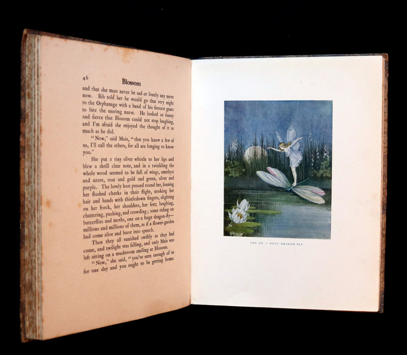 1928 Rare First Edition ~ Blossom A Fairy Story by Ida Rentoul Outhwaite - color illustrated.