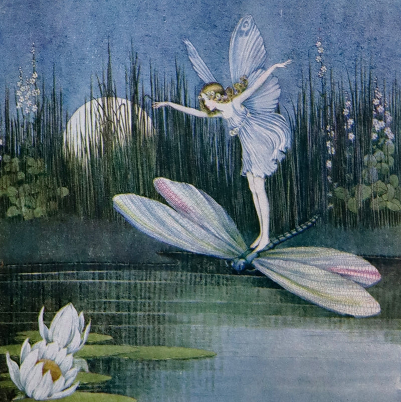 1928 Rare First Edition ~ Blossom A Fairy Story by Ida Rentoul Outhwaite - color illustrated.