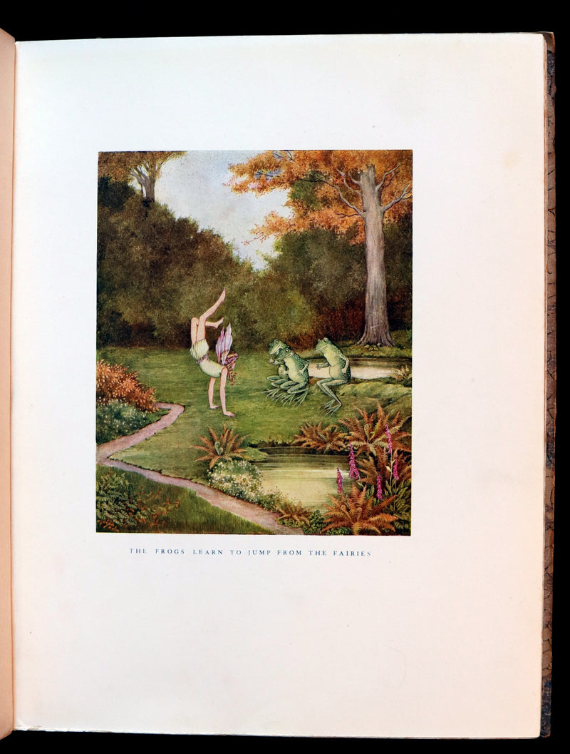 1928 Rare First Edition ~ Blossom A Fairy Story by Ida Rentoul Outhwaite - color illustrated.