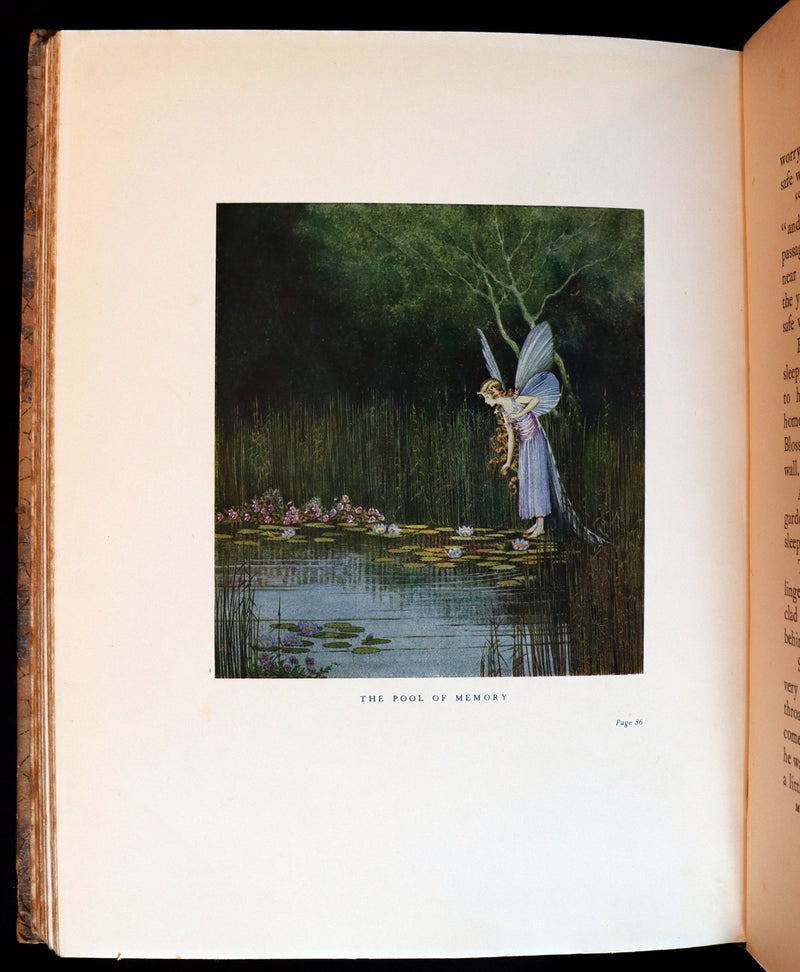 1928 Rare First Edition ~ Blossom A Fairy Story by Ida Rentoul Outhwaite - color illustrated.