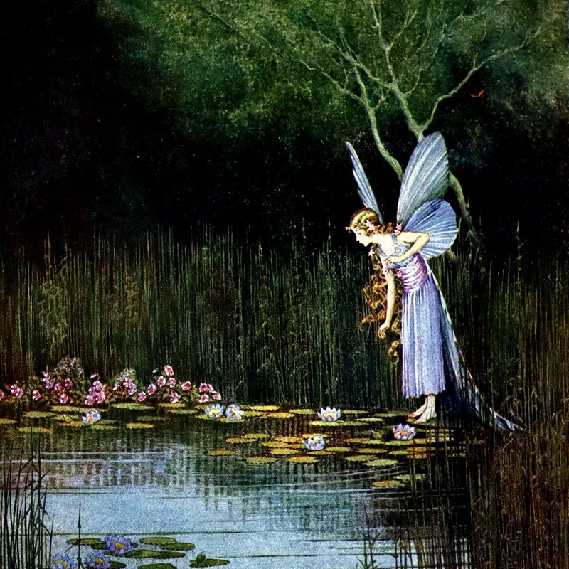 1928 Rare First Edition ~ Blossom A Fairy Story by Ida Rentoul Outhwaite - color illustrated.