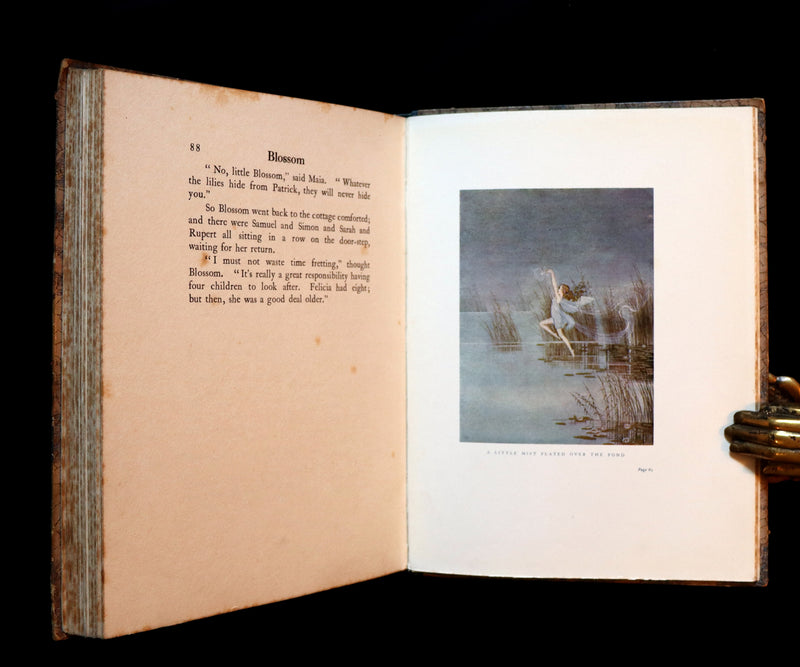 1928 Rare First Edition ~ Blossom A Fairy Story by Ida Rentoul Outhwaite - color illustrated.