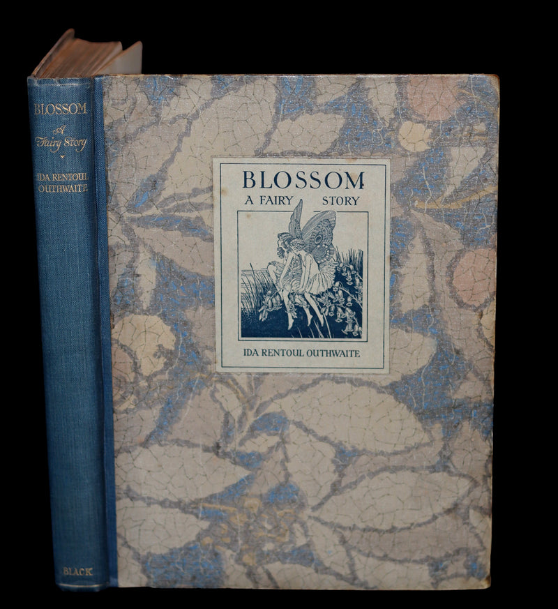 1928 Rare First Edition ~ Blossom A Fairy Story by Ida Rentoul Outhwaite - color illustrated.