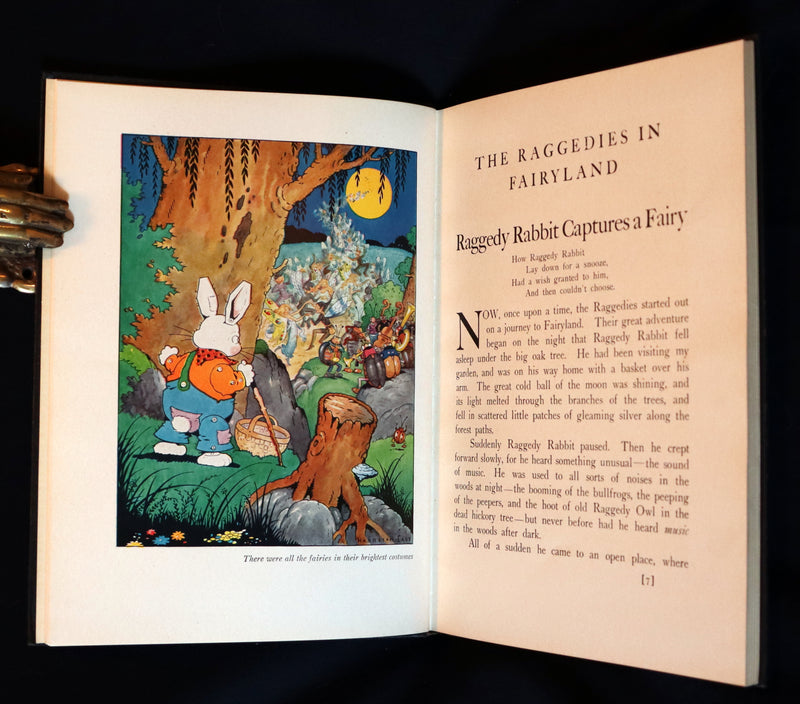 1930 Rare First Edition ~ The Raggedies In Fairyland illustrated by Harrison Cady.