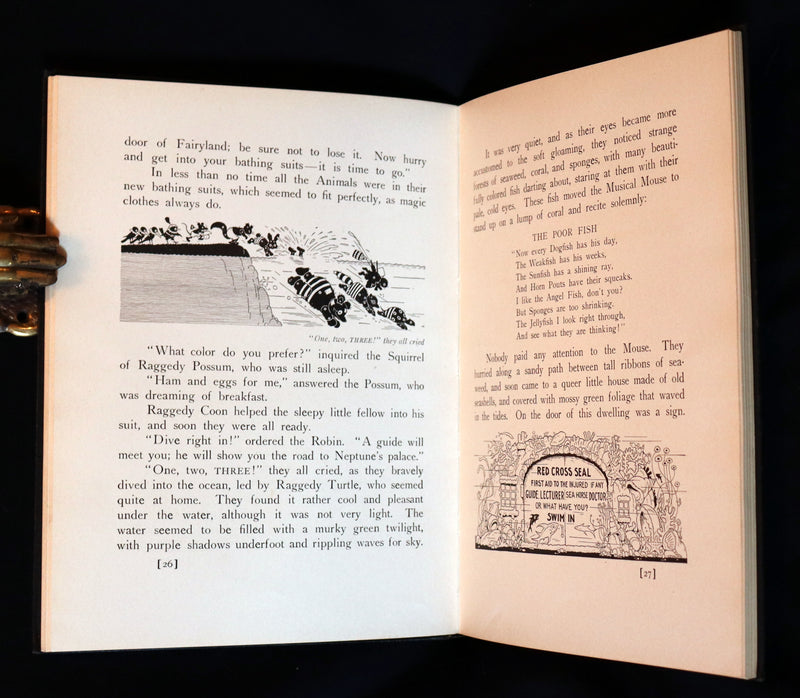 1930 Rare First Edition ~ The Raggedies In Fairyland illustrated by Harrison Cady.