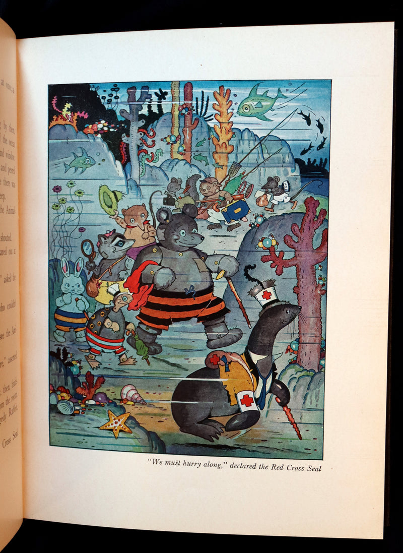 1930 Rare First Edition ~ The Raggedies In Fairyland illustrated by Harrison Cady.