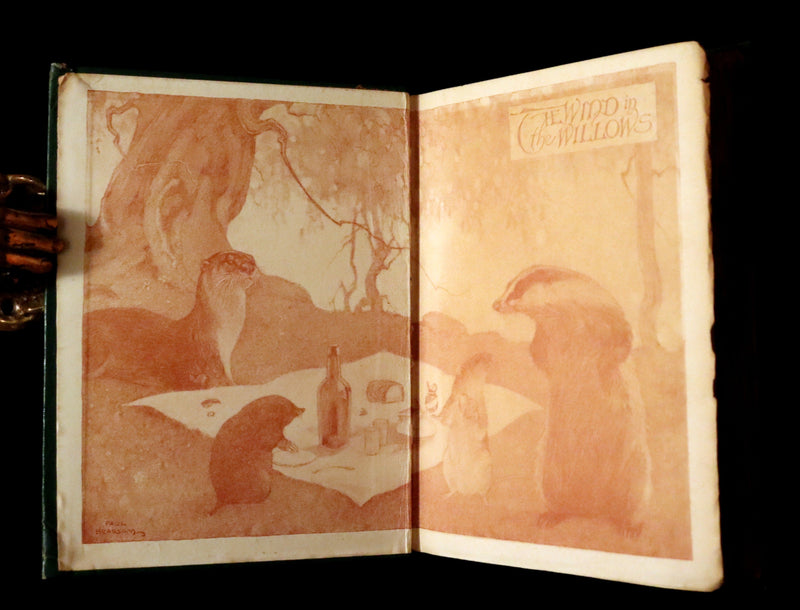 1913 First Edition illustrated by Paul BRANSOM - The WIND IN THE WILLOWS by K. Grahame.