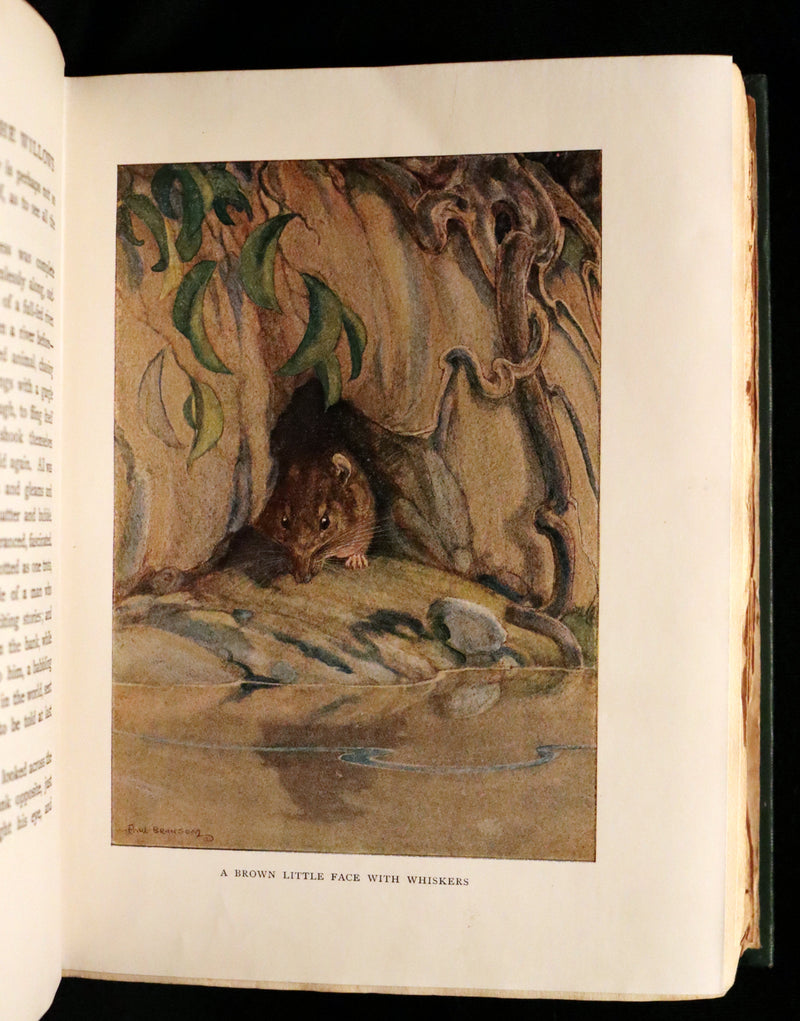 1913 First Edition illustrated by Paul BRANSOM - The WIND IN THE WILLOWS by K. Grahame.