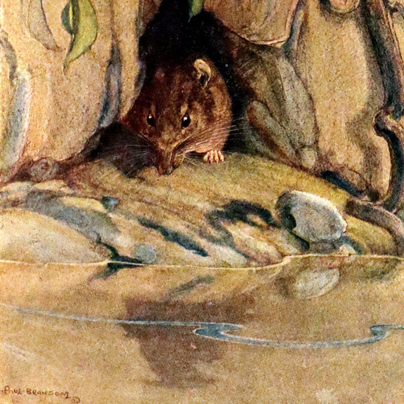 1913 First Edition illustrated by Paul BRANSOM - The WIND IN THE WILLOWS by K. Grahame.