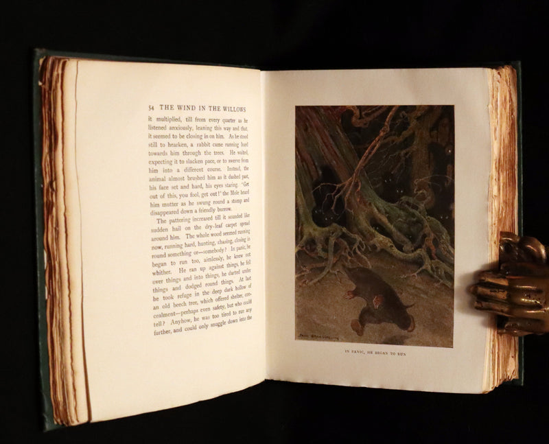 1913 First Edition illustrated by Paul BRANSOM - The WIND IN THE WILLOWS by K. Grahame.