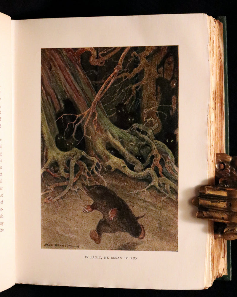 1913 First Edition illustrated by Paul BRANSOM - The WIND IN THE WILLOWS by K. Grahame.