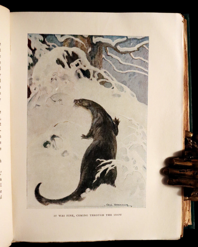 1913 First Edition illustrated by Paul BRANSOM - The WIND IN THE WILLOWS by K. Grahame.