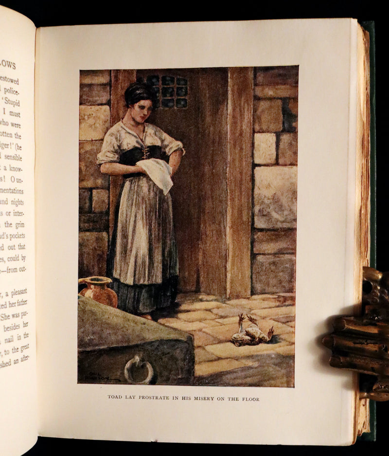 1913 First Edition illustrated by Paul BRANSOM - The WIND IN THE WILLOWS by K. Grahame.