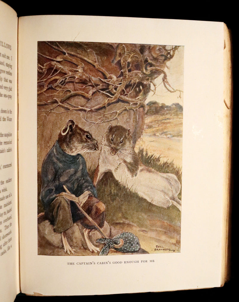 1913 First Edition illustrated by Paul BRANSOM - The WIND IN THE WILLOWS by K. Grahame.