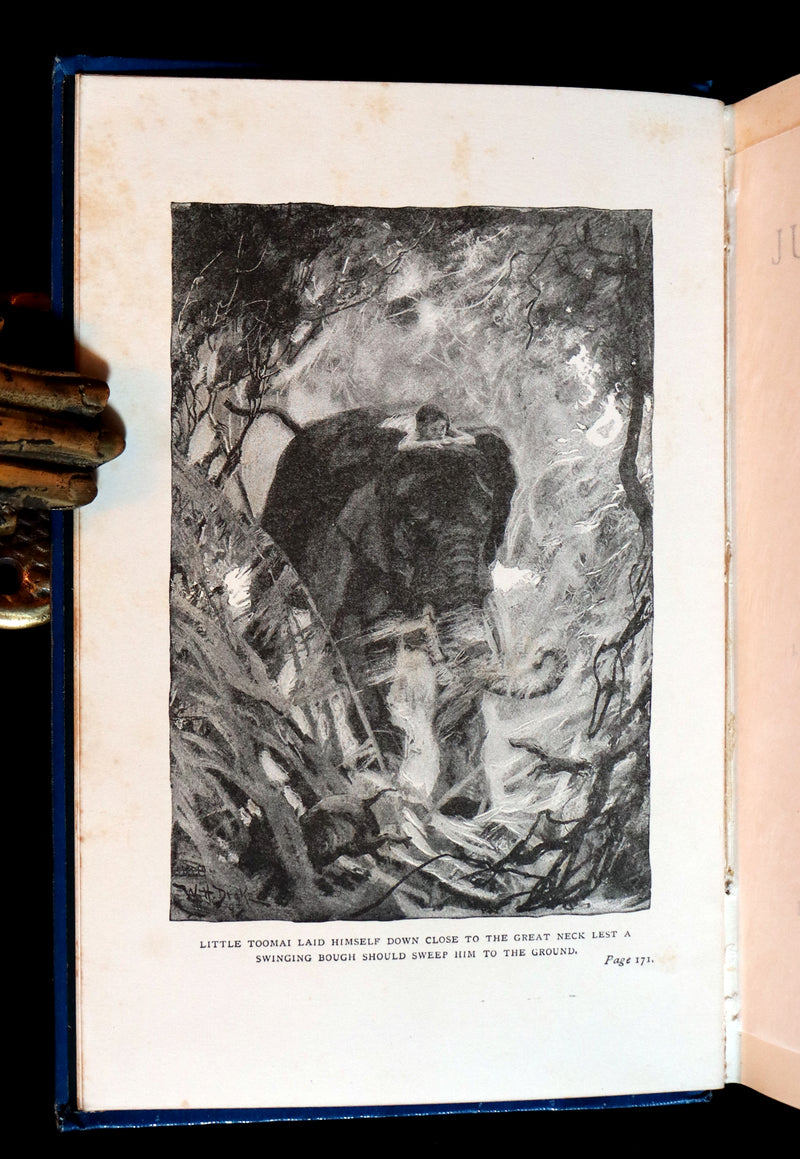 1898 Rare Book - The Jungle Book by Rudyard Kipling. Illustrated.