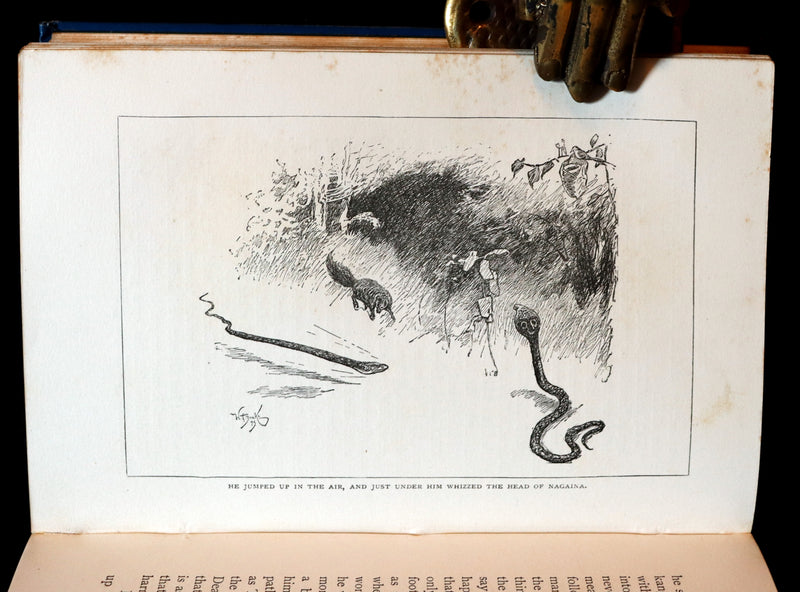 1898 Rare Book - The Jungle Book by Rudyard Kipling. Illustrated.