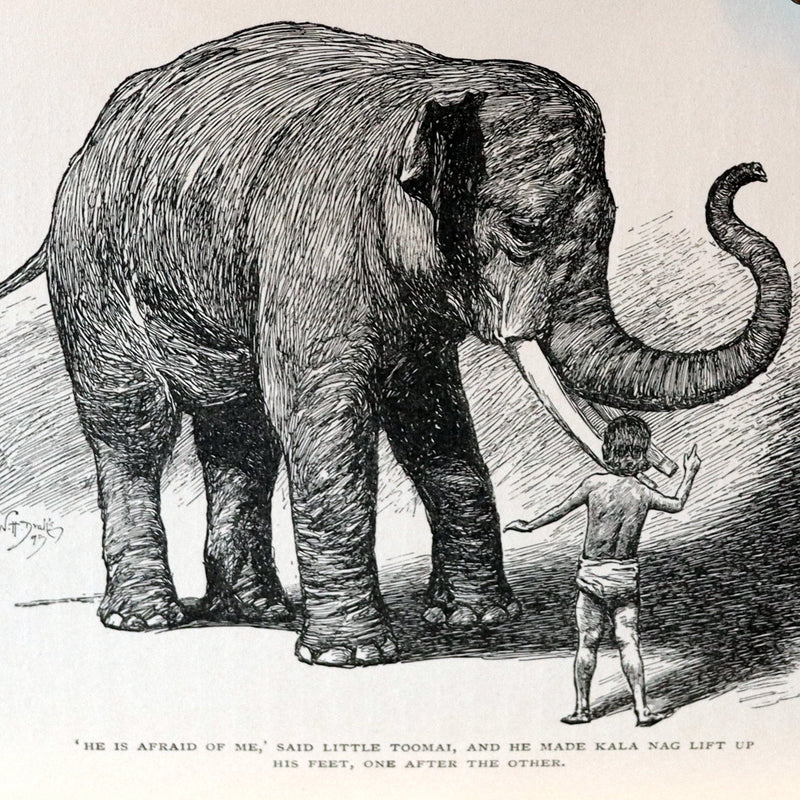 1898 Rare Book - The Jungle Book by Rudyard Kipling. Illustrated.