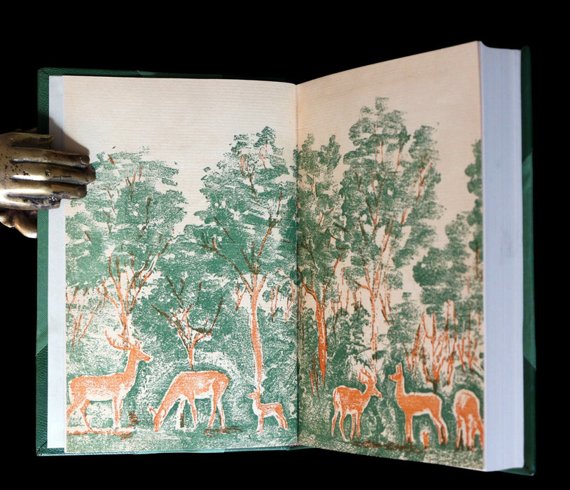 1928 Rare First Edition - BAMBI a Life in the Woods by Felix Salten. Illustrated.