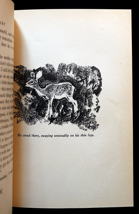 1928 Rare First Edition - BAMBI a Life in the Woods by Felix Salten. Illustrated.