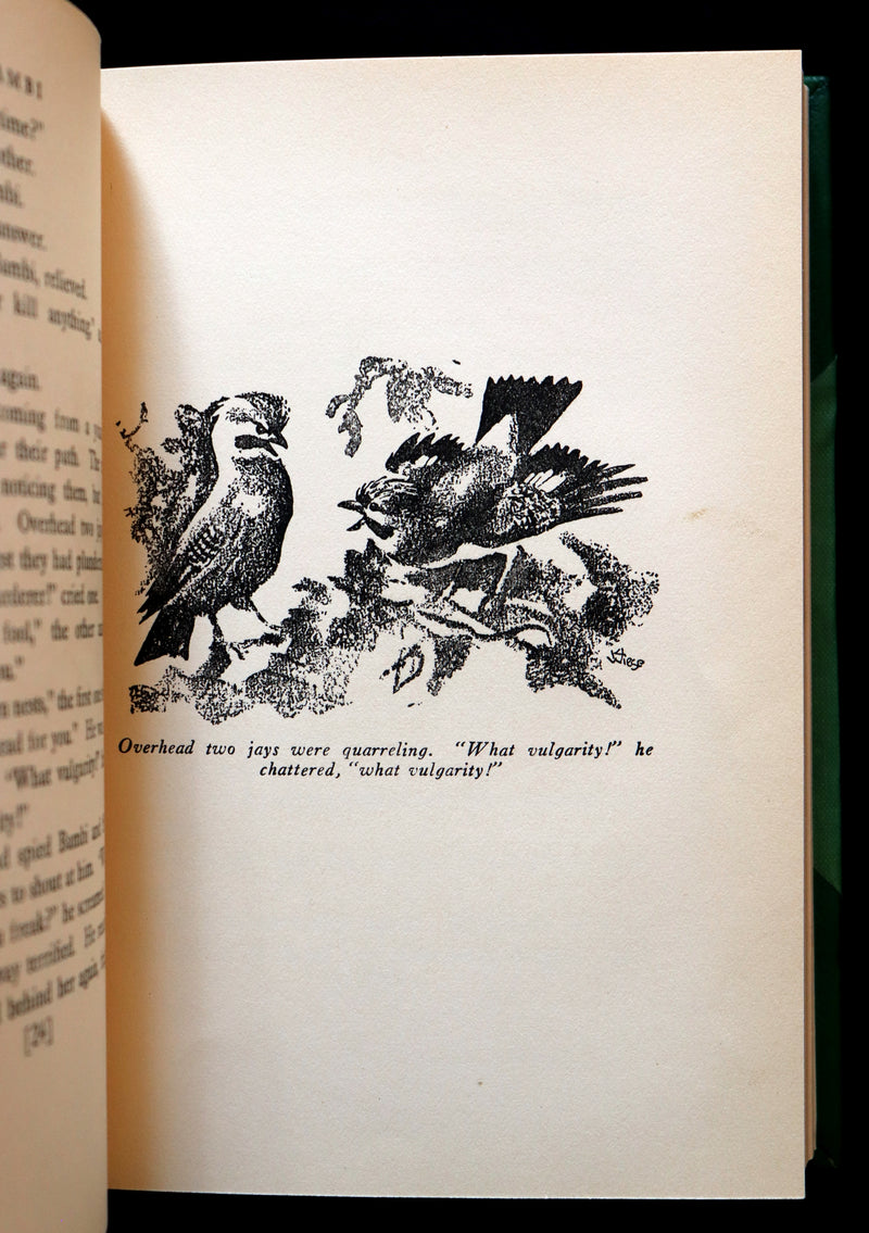 1928 Rare First Edition - BAMBI a Life in the Woods by Felix Salten in a Nice Binding.
