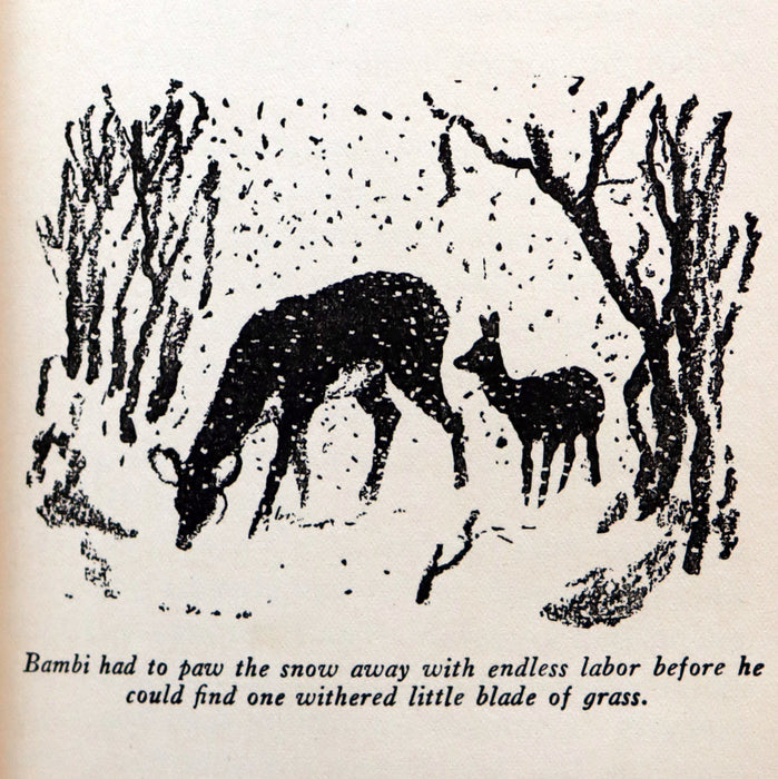 1928 Rare First Edition - BAMBI a Life in the Woods by Felix Salten. Illustrated.