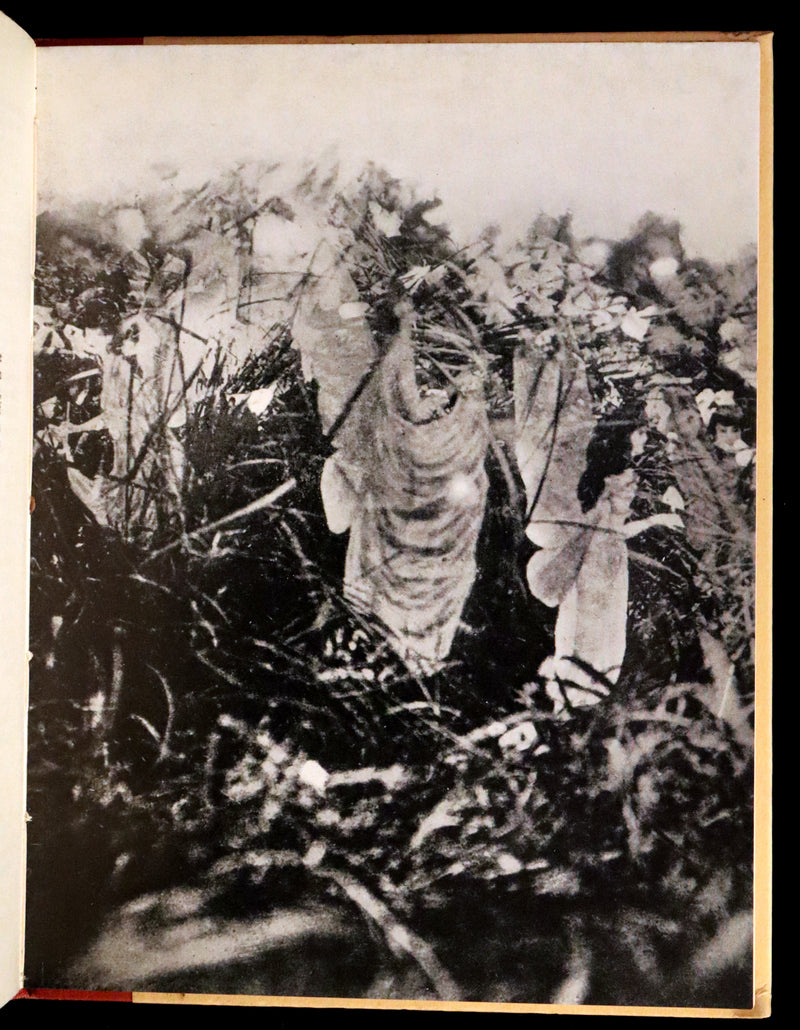 1951 Rare Book - FAIRIES, The Cottingley Photographs And Their Sequel by Edward L. Gardner.