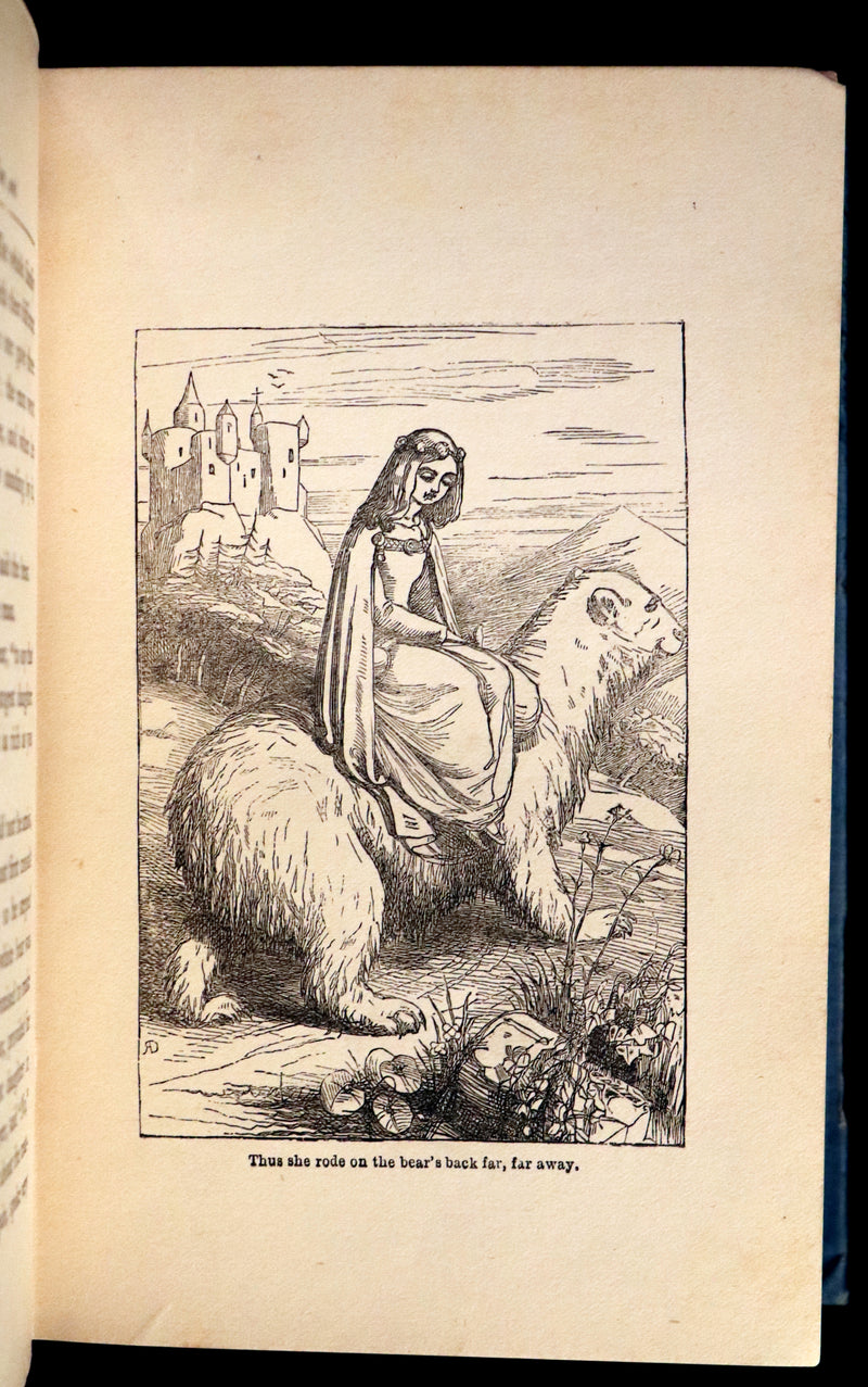 1904 Scarce Book - BUTTERFLY FAIRY BOOK illustrated by Richard Doyle. 1stED.