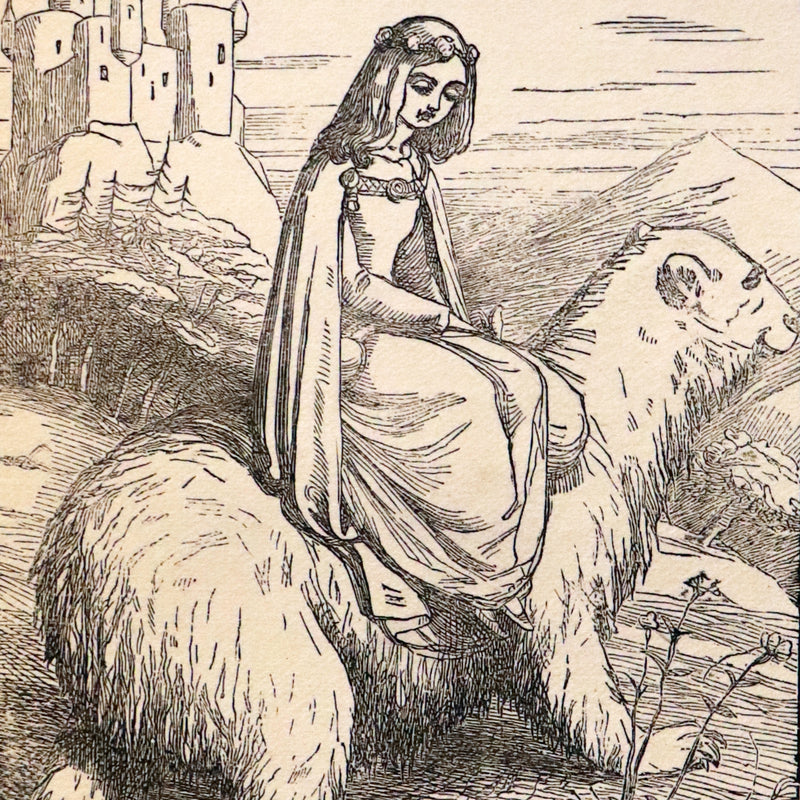 1904 Scarce Book - BUTTERFLY FAIRY BOOK illustrated by Richard Doyle. 1stED.