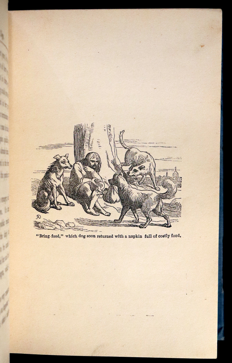 1904 Scarce Book - BUTTERFLY FAIRY BOOK illustrated by Richard Doyle. 1stED.