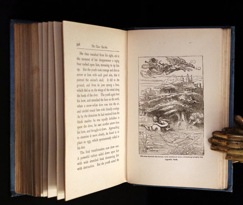 1904 Scarce Book - BUTTERFLY FAIRY BOOK illustrated by Richard Doyle. 1stED.