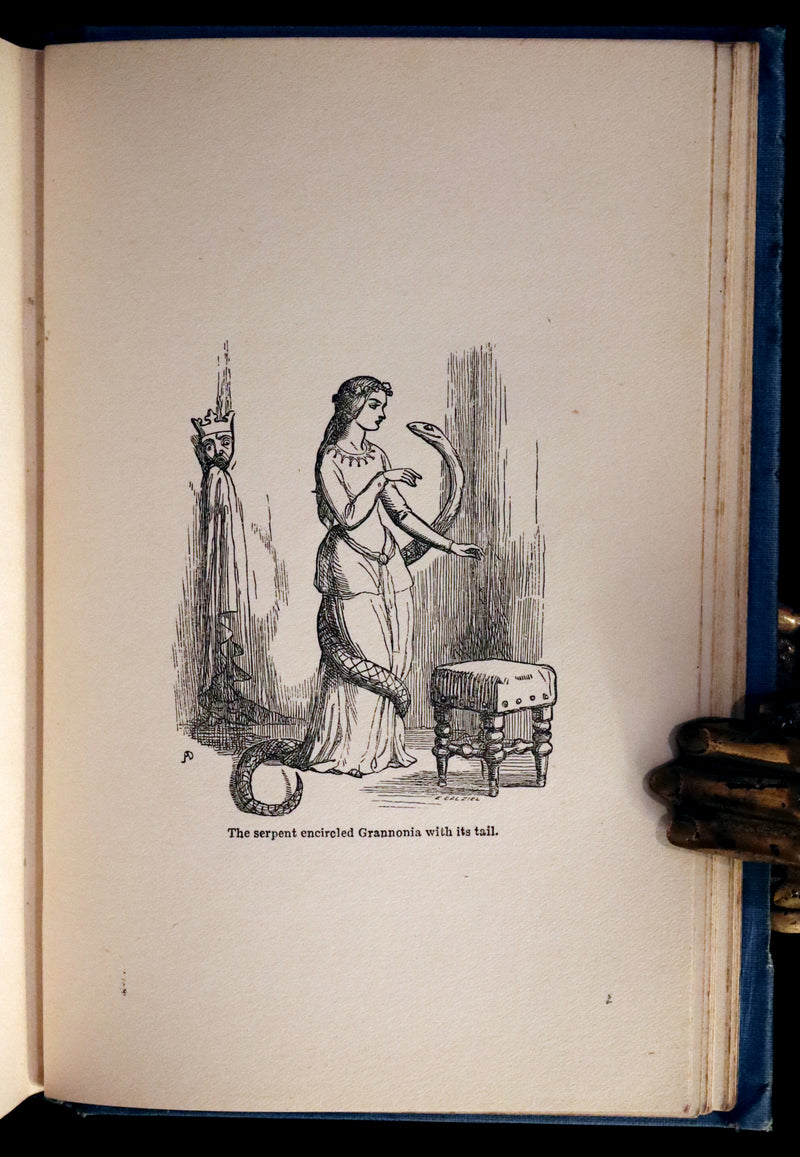 1904 Scarce Book - BUTTERFLY FAIRY BOOK illustrated by Richard Doyle. 1stED.